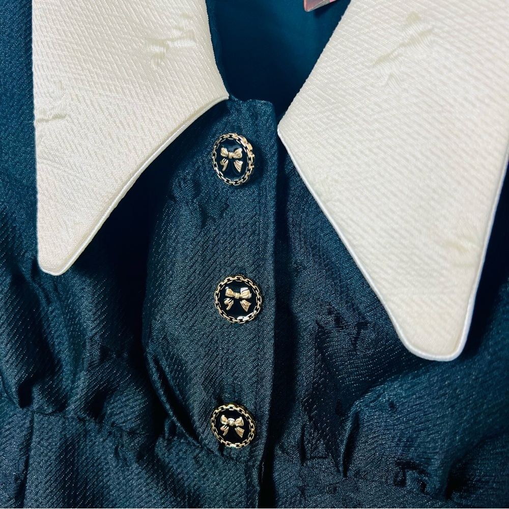 Sister Jane Pirouette Edwardian Goth Black Jacquard Mini Dress Medium Plus Size - Picture 9 of 12